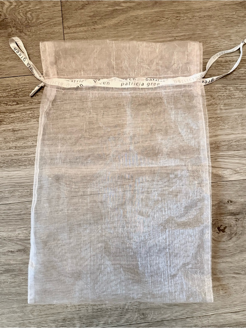 Patricia Green Sheer Super Light Pink Drawstring Toiletry/Accessory Bag 14.75x10